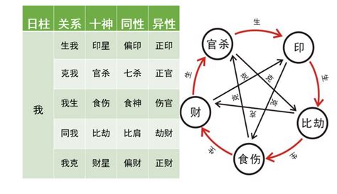 我生為食傷|八字十神構成以及十神分析